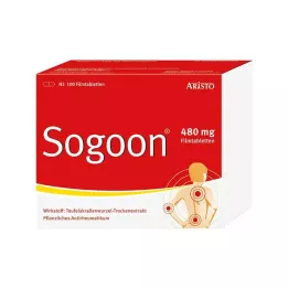 SOGOON 480 mg compresse con pellicola, 100 m