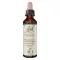 BACHBLÜTEN Centaurea gocce, 20 ml