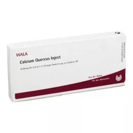 CALCIUM QUERCUS Fiale iniettabili, 10X1 ml
