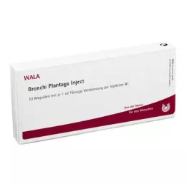BRONCHI PLANTAGO Fiale iniettabili, 10X1 ml
