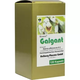 GALGANT Kapseln, 120 pz
