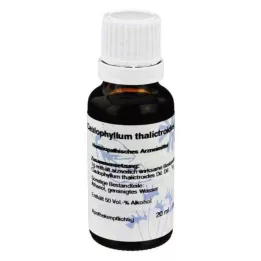 CAULOPHYLLUM D 6 diluizione, 20 ml