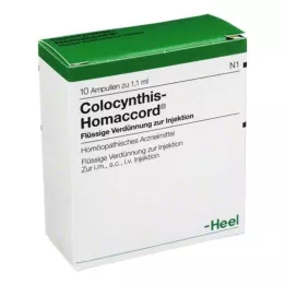 COLOCYNTHIS HOMACCORD AMPOULE, 10 pz