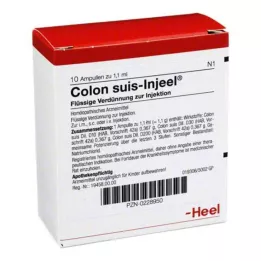 COLON SUIS Injeel ampoule, 10 pz