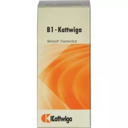 B1 Kattwiga Compresse, 100 pz