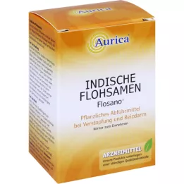 FLOHSAMEN INDISCH Kerne, 100 g