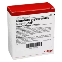 GLANDULA SUPRARENALIS Suis Injeel ampoule, 10 pz