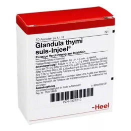 GLANDULA THYMI Suis Injeel ampoule, 10 pz