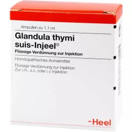 GLANDULA THYMI Suis Injeel ampoule, 100 pz