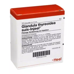 GLANDULA THYREOIDEA Suis Injeel ampoule, 10 pz