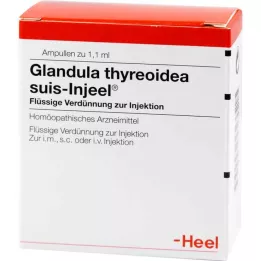GLANDULA THYREOIDEA Suis Injeel ampoule, 100 pz