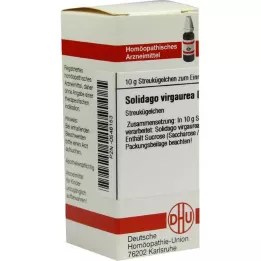 SOLIDAGO VIRGAUREA D 8 Globuli, 10 g