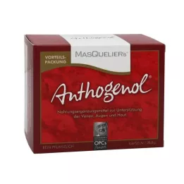 OPC ORIGINAL Masqueeliers Capsule di antogenol, 75 ore