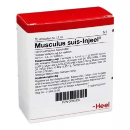 MUSCULUS SUIS Injeel ampoule, 10 pz