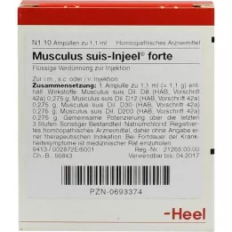 MUSCULUS SUIS Injeel Forte ampoule, 10 pz
