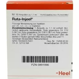 RUTA INJEEL AMPOULE, 10 pz