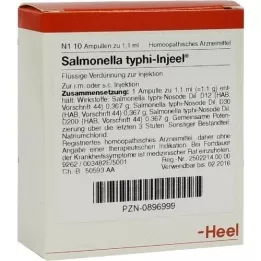 SALMONELLA TYPHI Injeel ampoule, 10 pz