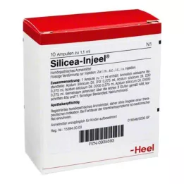 SILICEA INJEEL AMPOULE, 10 pz