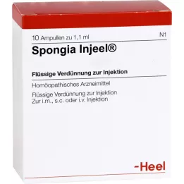 Spongia), 10 pz