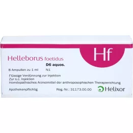HELLEBORUS FOETIDUS aquos. D 6 fiale, 8X1 ml