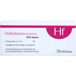 HELLEBORUS FOETIDUS aquos. D 12 fiale, 8X1 ml