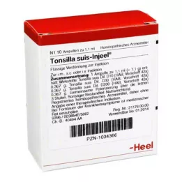 TONSILLA SUIS Injeel ampoule, 10 pz