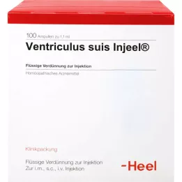 Ventriculus Suis Inj Org, 100 pz