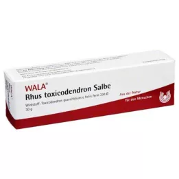 RHUS TOXICODENDRON UNGUENTO, 30 g