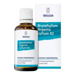 BRYOPHYLLUM ARGENTO cultum D 3 Diluizione, 50 ml