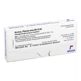 ARNICA PLANTA totale Rh D 20 fiale, 8X1 ml
