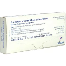EQUISETUM ARVENSE Silicea cultum D 3 fiale, 8 pz
