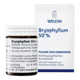 BRYOPHYLLUM Polvere per uso orale al 50%, 50 g