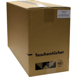 TASCHENTÜCHER Motivo vitamine, 1 pz