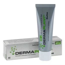 DERMAPLANT Unguento, 25 g
