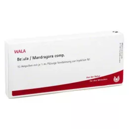BETULA/MANDRAGORA fiale comp., 10X1 ml