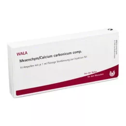 MESENCHYM/CALCIUM fiale di carbonicum comp., 10X1 ml