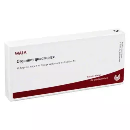 ORGANUM Fiale quadruplex, 10X1 ml