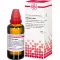 ECHINACEA HAB esterno, 50 ml