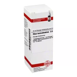 RHUS TOXICODENDRON D 6 Diluizione, 20 ml