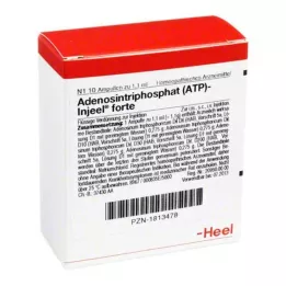 ATP Injeel Forte ampoule, 10 pz