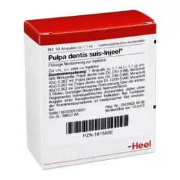 PULPA DENTIS SUIS Injeel ampoule, 10 pz