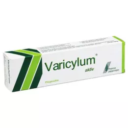VARICYLUM unguento di cura attivo, 100 g