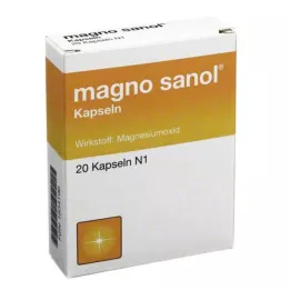 MAGNO SANOL capsule, 20 pz