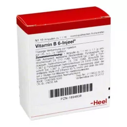 VITAMIN B6 INJEEL fiale, 10 pz