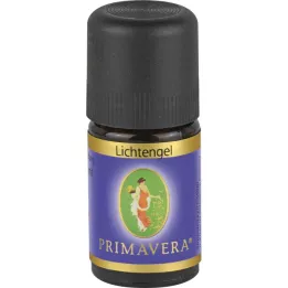Olio essenziale del gel leggero della miscela di fragranza, 5 ml