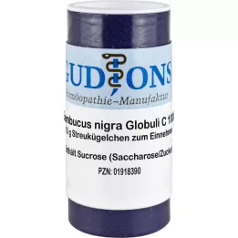 SAMBUCUS NIGRA C 1000 globuli monodose, 0,5 g