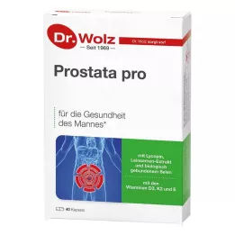PROSTATA PRO Capsule Dr.Wolz, 2X20 pz