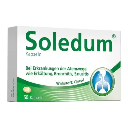 SOLEDUM Capsule gastroresistenti da 100 mg, 50 pz