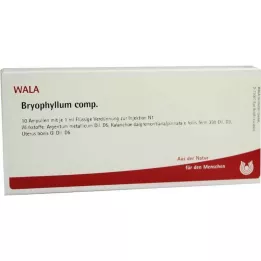 BRYOPHYLLUM COMP.Fiale, 10X1 ml