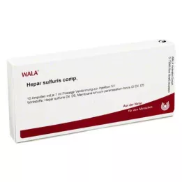 HEPAR SULFURIS COMP.Fiale, 10X1 ml